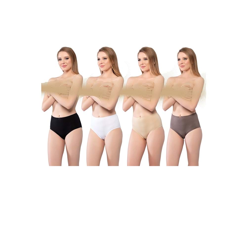 Belinay 3034 Kadın Yüksek Bel SiyahBeyazTenVizon 4lü Paket Külot XL