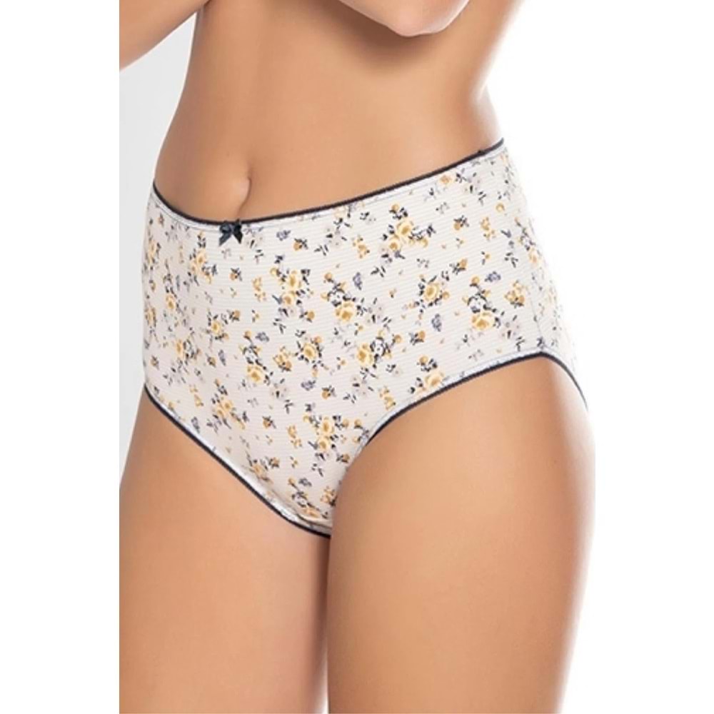 Belinay 3512 Kadın Yüksek Bel Bato Külot 4lü Paket Desenli L