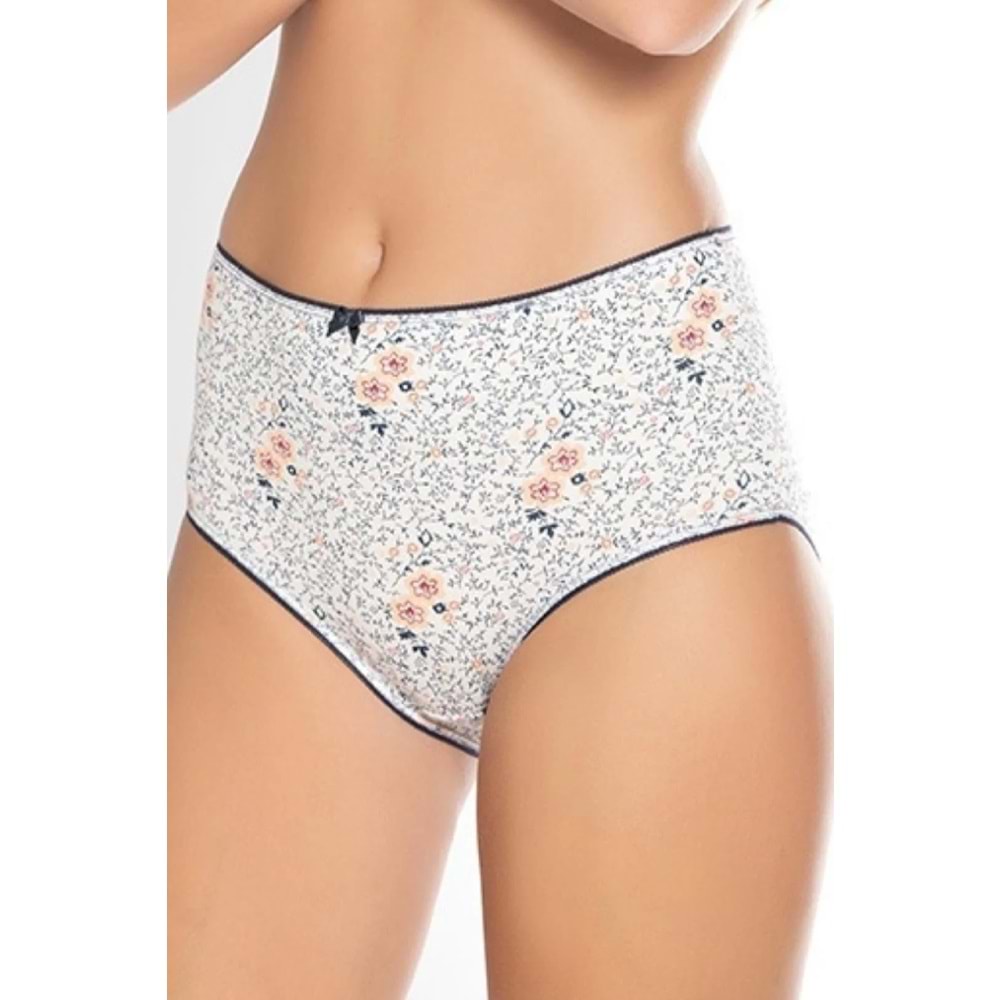 Belinay 3512 Kadın Yüksek Bel Bato Külot 4lü Paket Desenli L