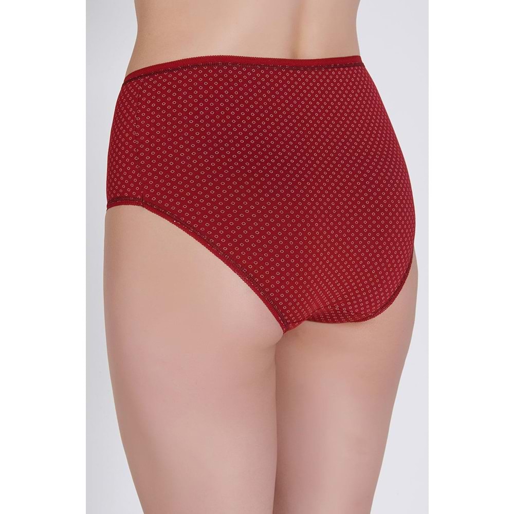 Belinay 3513 Kadın Yüksek Bel Bato Külot 4lü Paket L