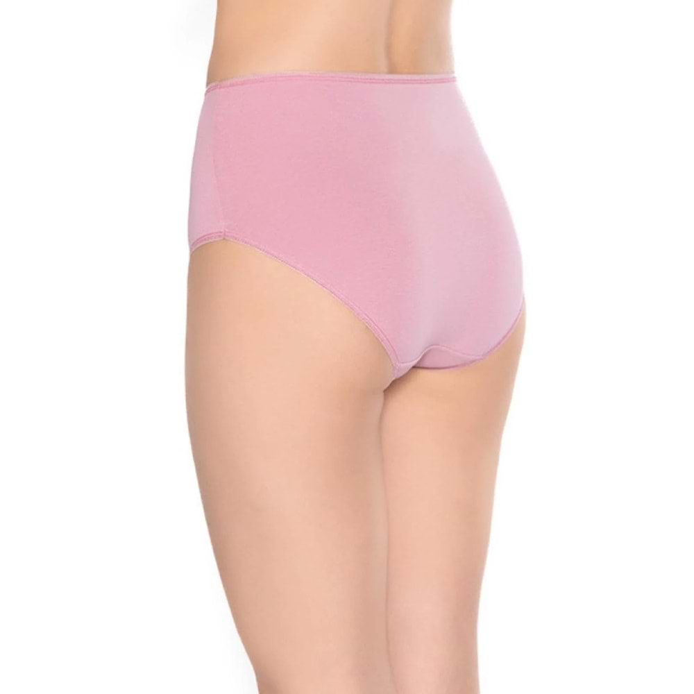 Belinay 3515 Kadın Yüksek Bel Bato Külot 4lü Paket Desenli L