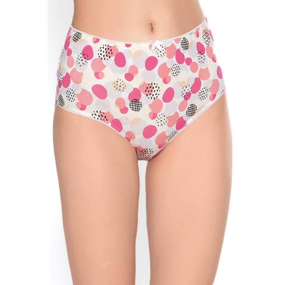 Belinay 3516 Kadın Yüksek Bel Bato Külot 4lü Paket Desenli L