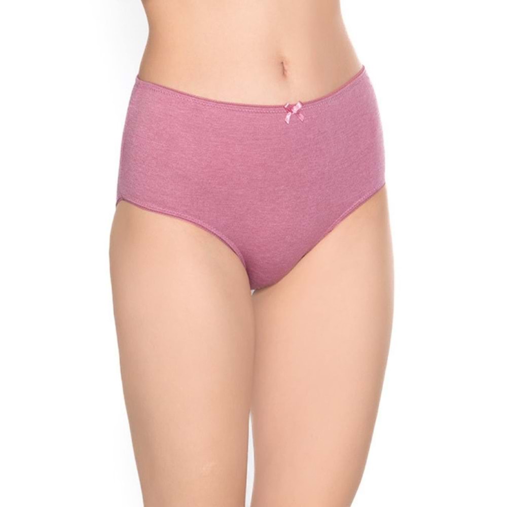 Belinay 3516 Kadın Yüksek Bel Bato Külot 4lü Paket Desenli L