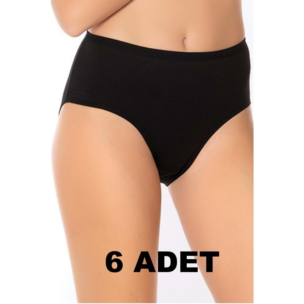 Belinay 6 Adet 0107 Kadın Yüksek Bel Bato Külot Siyah 5