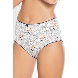 Belinay 3512 Kadın Yüksek Bel Bato Külot 4lü Paket Desenli XL