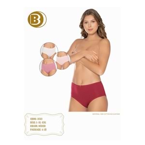Belinay 3513 Kadın Yüksek Bel Bato Külot 4lü Paket XL