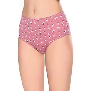 Belinay 3514 Kadın Yüksek Bel Bato Külot 4lü Paket Desenli L