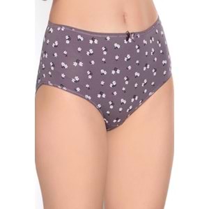 Belinay 3514 Kadın Yüksek Bel Bato Külot 4lü Paket Desenli L