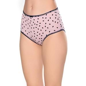 Belinay 3515 Kadın Yüksek Bel Bato Külot 4lü Paket Desenli L