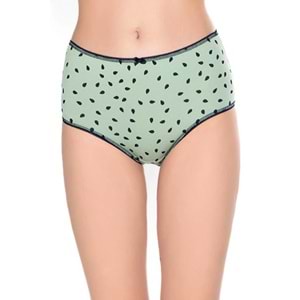 Belinay 3515 Kadın Yüksek Bel Bato Külot 4lü Paket Desenli L