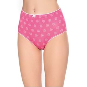 Belinay 3516 Kadın Yüksek Bel Bato Külot 4lü Paket Desenli L