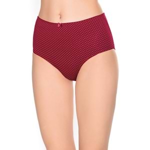 Belinay 3516 Kadın Yüksek Bel Bato Külot 4lü Paket Desenli L