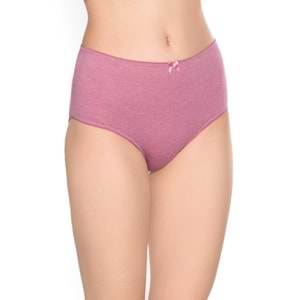 Belinay 3516 Kadın Yüksek Bel Bato Külot 4lü Paket Desenli L