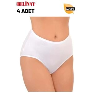 Belinay 4 Adet 069 Kadın Yüksek Bel Modal Külot Beyaz 4