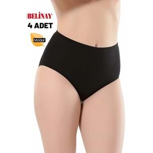 Belinay 4 Adet 069 Kadın Yüksek Bel Modal Külot Siyah 4