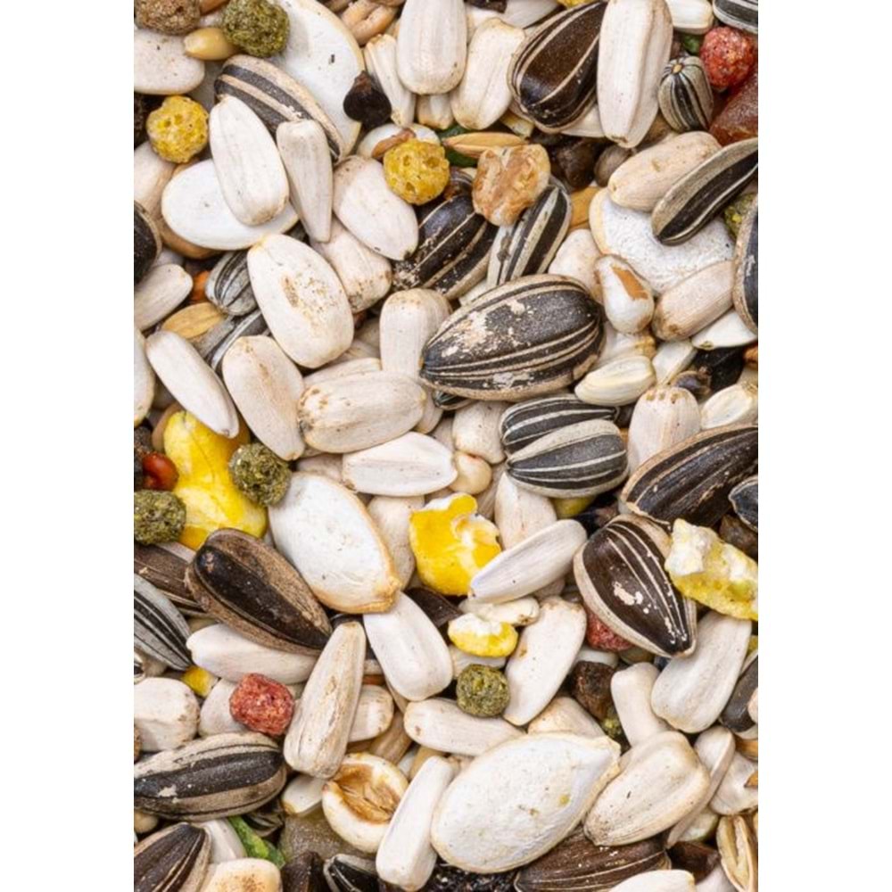 Deli Nature Premium Papağan Yemi 800GR (28423)