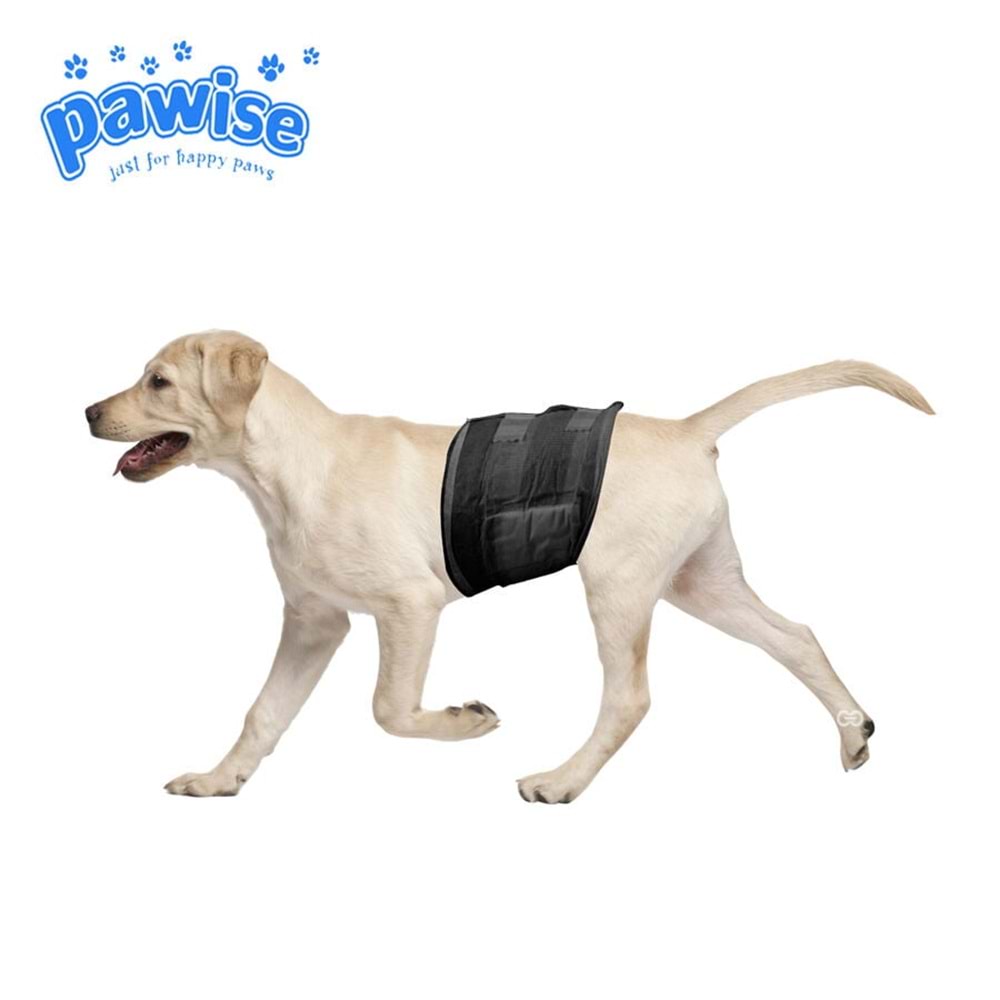 Pawise Kullan at Erkek Köpek Çiş Bezi Siyah S 12 Ad