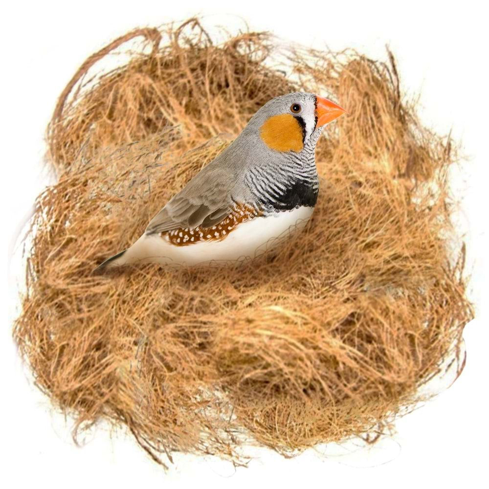 Hindistan Cevizi Kılı Yuva İpi Naturel (Nesting Fiber) 250 gr.