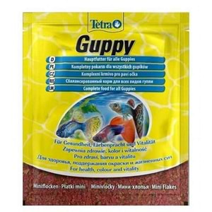 Tetra Guppy Lepistes Yemi 12 Gr.x 3 Adet