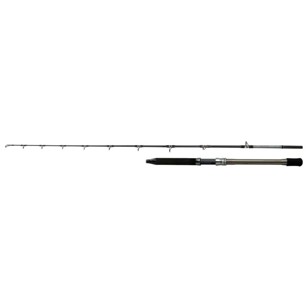 Shimano Spedmaster AX Deep Drop 2,06m 6'9