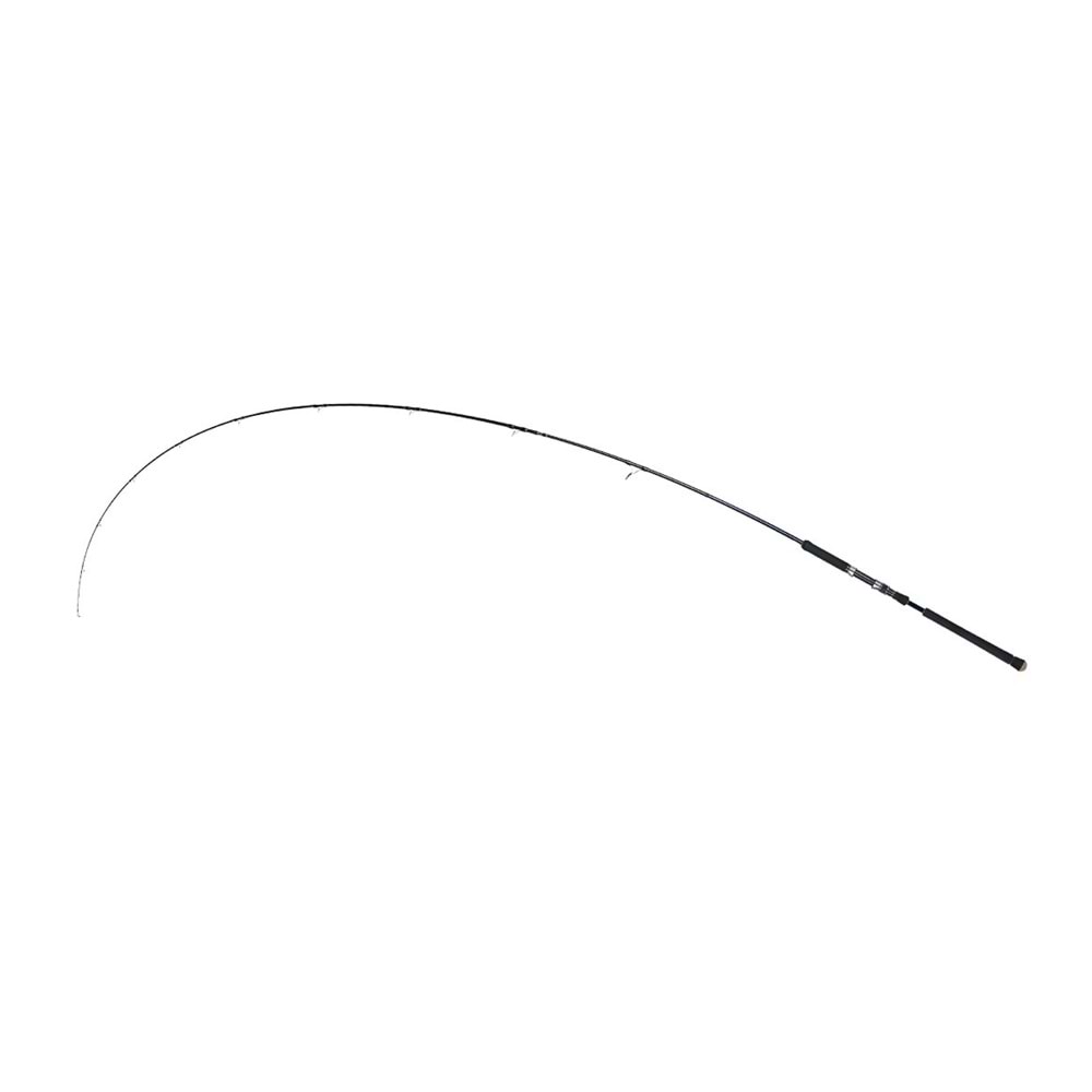 Fujin Madcast 290cm 20-80gr Shore Jig Kamışı