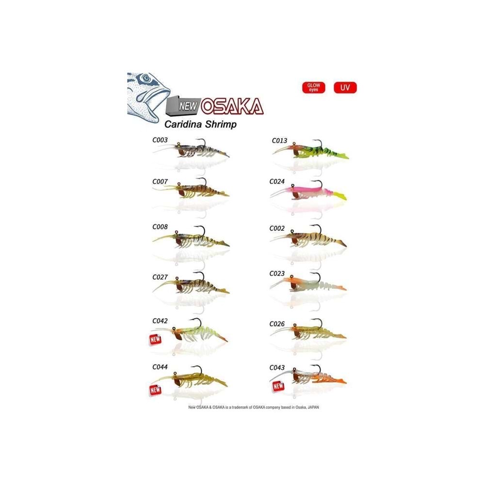 NANIWAOSAKASHI CARIDINA SHRIMP 10CM 14G