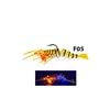 F05 Real Shrimp