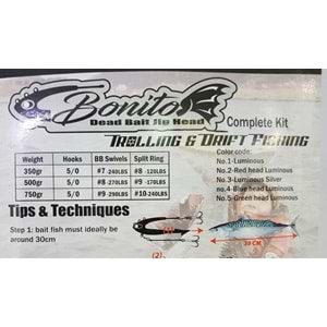 Pro-Hunter BONITO JİG HEAD 500g - 05