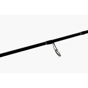 Shimano Bassterra 2,18m 7'2