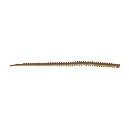 Berkley Gulp Sandworm 4 inç İsome Type Hosomi MB Kokulu Kurt - Mor