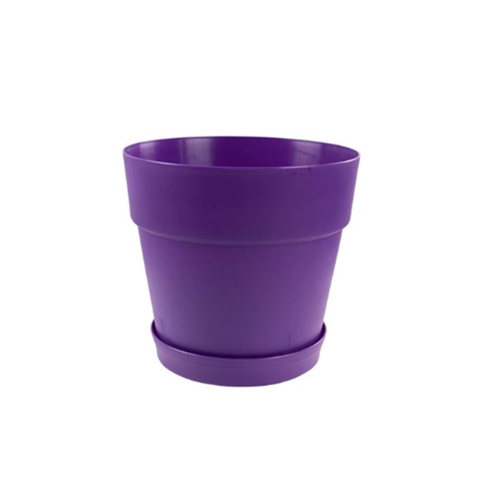 SAĞLAM NO:5 4LT YASEMİN SAKSI