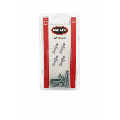 MHR-105 SOMUNLU VİDA 4X30 6AD