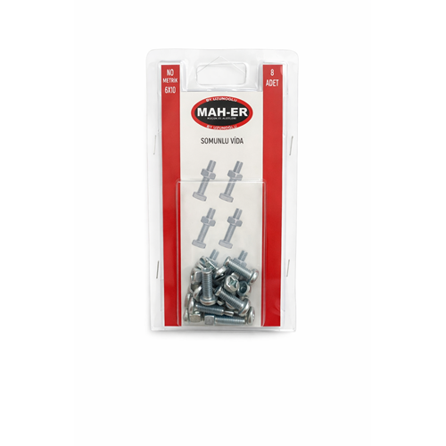MHR-121 SOMUNLU VİDA 6X10 8AD