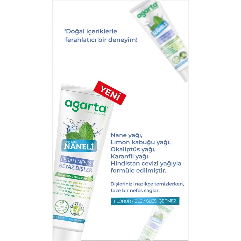 Agarta Doğal Diş Macunu 100ML Naneli (4 Lü Set)