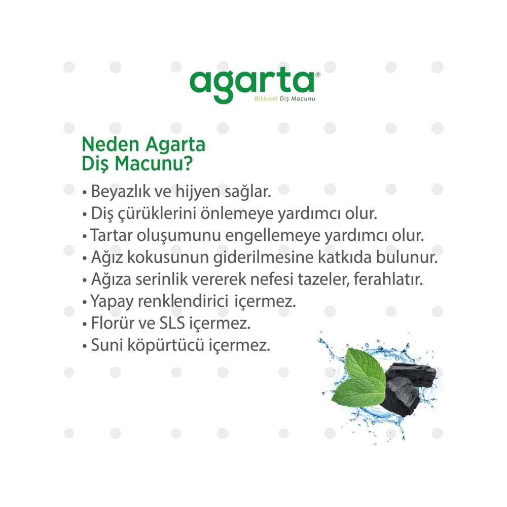 Agarta Doğal Diş Macunu 100ML Aktif Karbonlu (3 Lü Set)