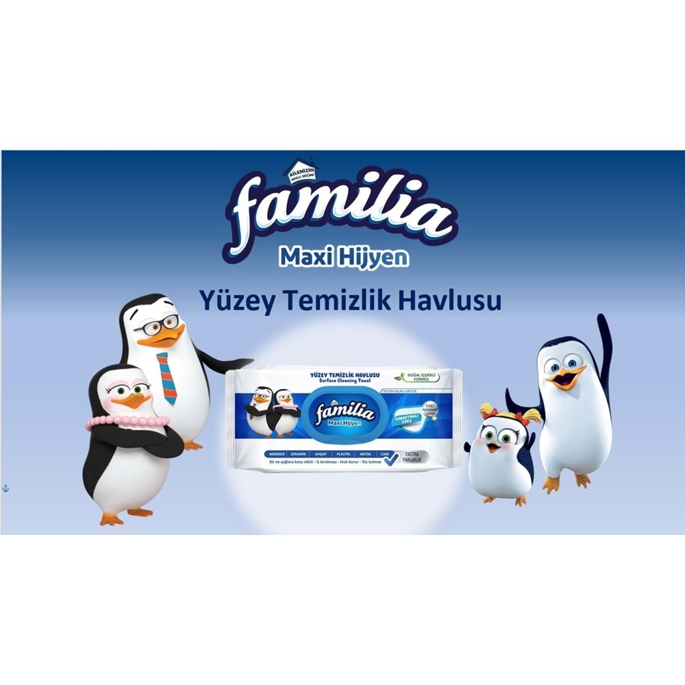 Familia Yüzey Temizlik Havlusu 96 Yaprak Maxi Hijyen Kabartma Doku Plastik Kapaklı 3 Lü Set 288 Yprk