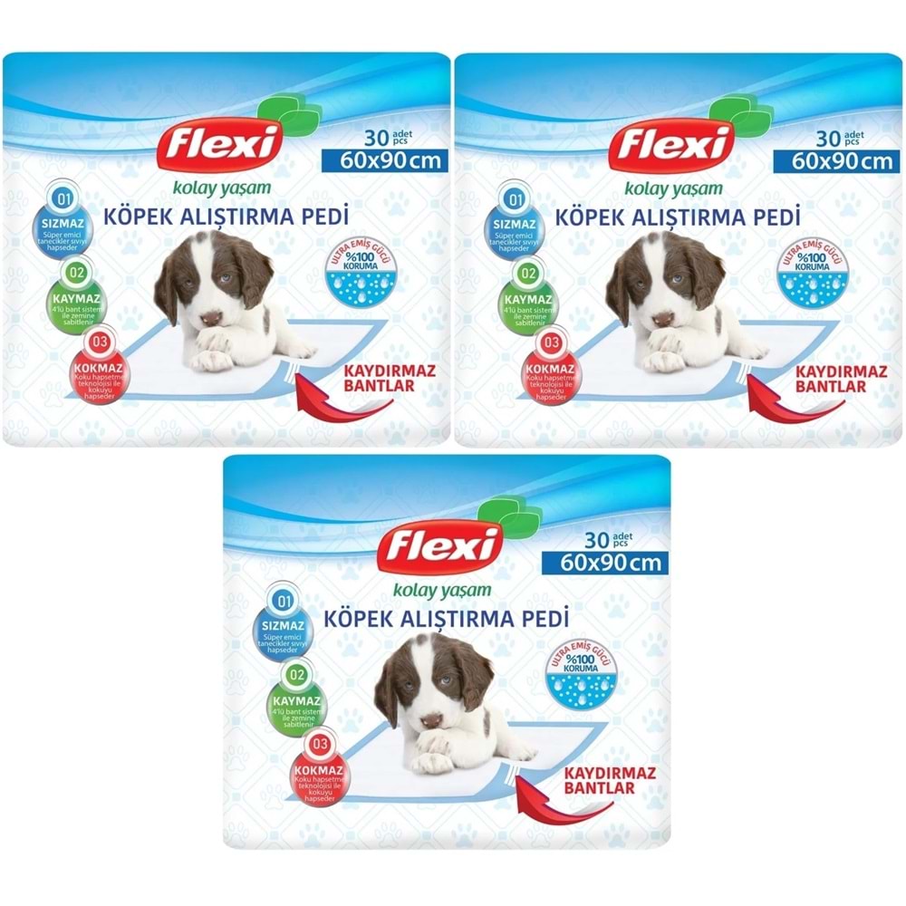 Flexi Evcil Hayvan Köpek Alıştırma Tuvalet Eğitim Pedi 60*90 CM 90 Adet