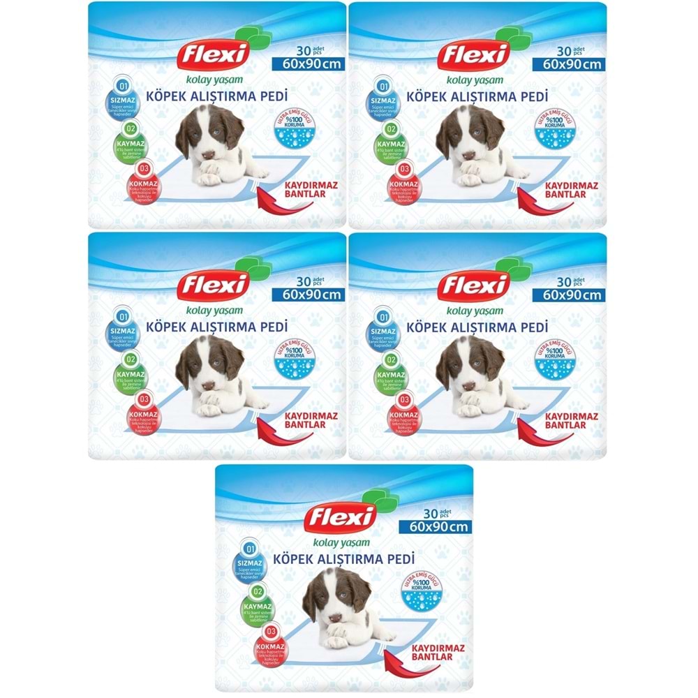Flexi Evcil Hayvan Köpek Alıştırma Tuvalet Eğitim Pedi 60*90 CM 150 Adet
