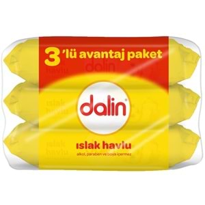 Dalin Islak Havlu Mendil Klasik 56 Yaprak 3 Lü Pk (168 Yaprak)