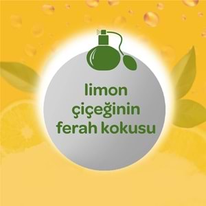 Dalin Bebek Kolonyası 150ML Limon Çiçeği (Limon-Bergomat-Papatya) (3 Lü Set)