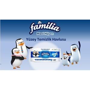 Familia Yüzey Temizlik Havlusu 96 Yaprak Maxi Hijyen Kabartma Doku Plastik Kapaklı 5 Li Set 480 Yprk