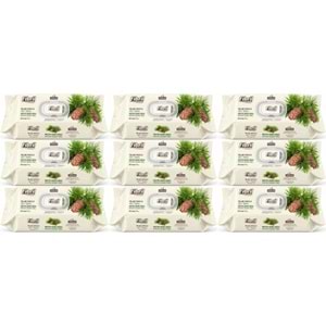 Fibril Islak Havlu Mendil 90 Yaprak Mistik Sedir Ağacı Plastik Kapaklı (9 Lu Set) 810 Yaprak