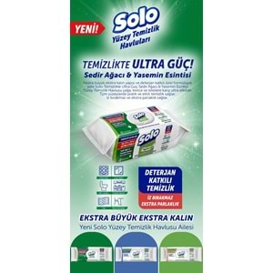 Solo Yüzey Temizlik Havlusu - Mendili 100 Yaprak Okaliptus & Çam Esintisi (4 Lü Set) 400 Yaprak