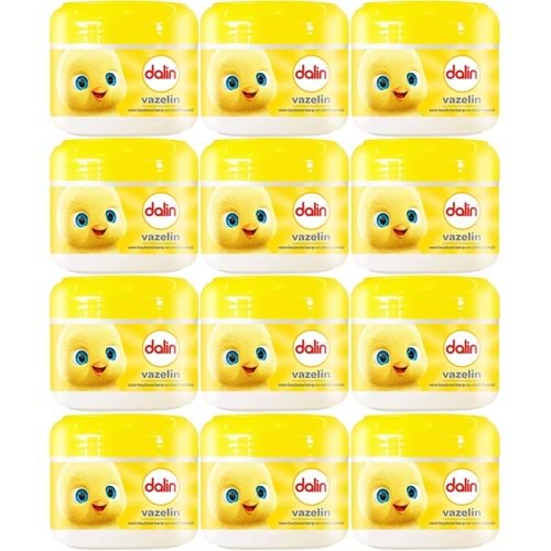 Dalin Vazelin 100ML Klasik (12 Li Set)