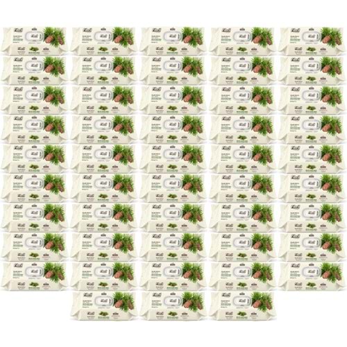 Fibril Islak Havlu Mendil 90 Yaprak Mistik Sedir Ağacı Plastik Kapaklı (48 Li Set) 4320 Yaprak