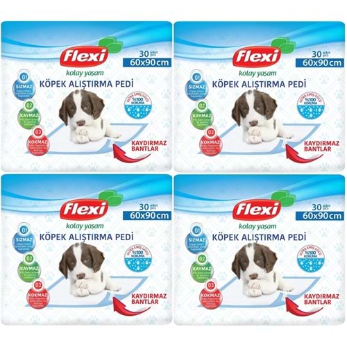 Flexi Evcil Hayvan Köpek Alıştırma Tuvalet Eğitim Pedi 60*90 CM 120 Adet
