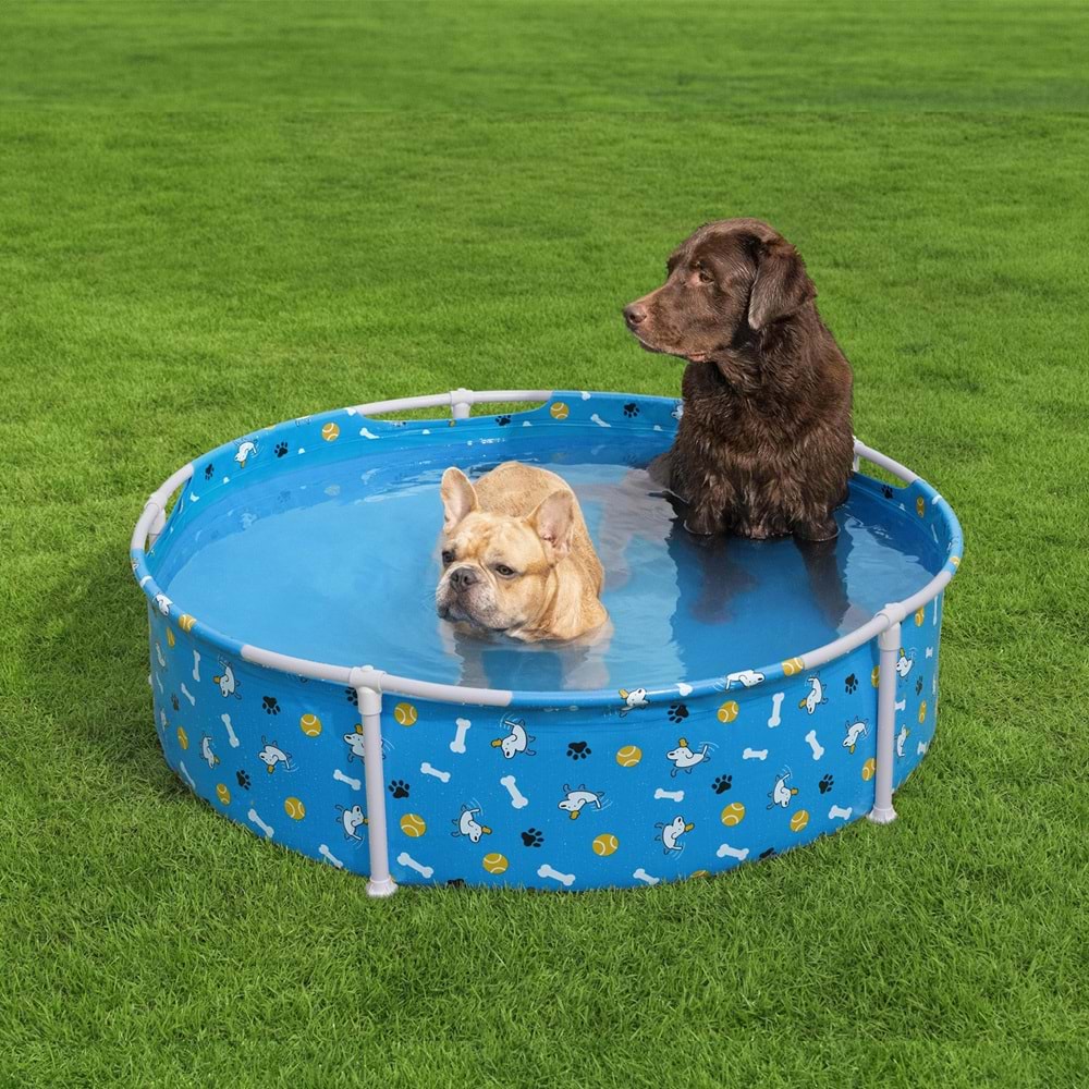 Bestway® 561KM Fetchin' Fun™ Köpek Oyun Havuzu