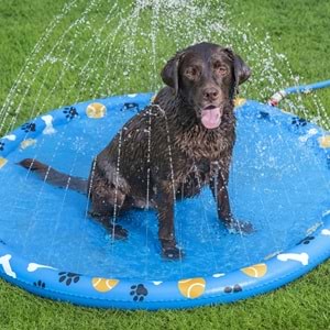 Bestway 52699 Fetchin' Fun Evcil Hayvan İçin Su Oyun Matı
