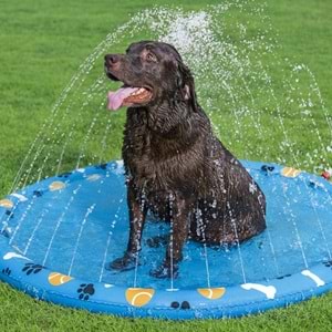 Bestway 52699 Fetchin' Fun Evcil Hayvan İçin Su Oyun Matı