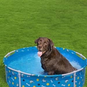 Bestway® 561KM Fetchin' Fun™ Köpek Oyun Havuzu